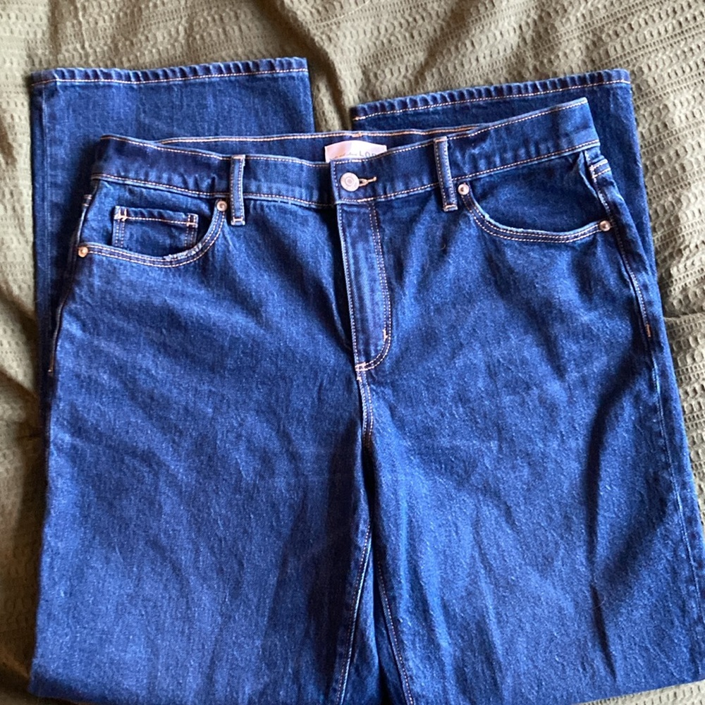 LOFT Women’s Jeans • Relaxed, Straight Fit • Size 30/10